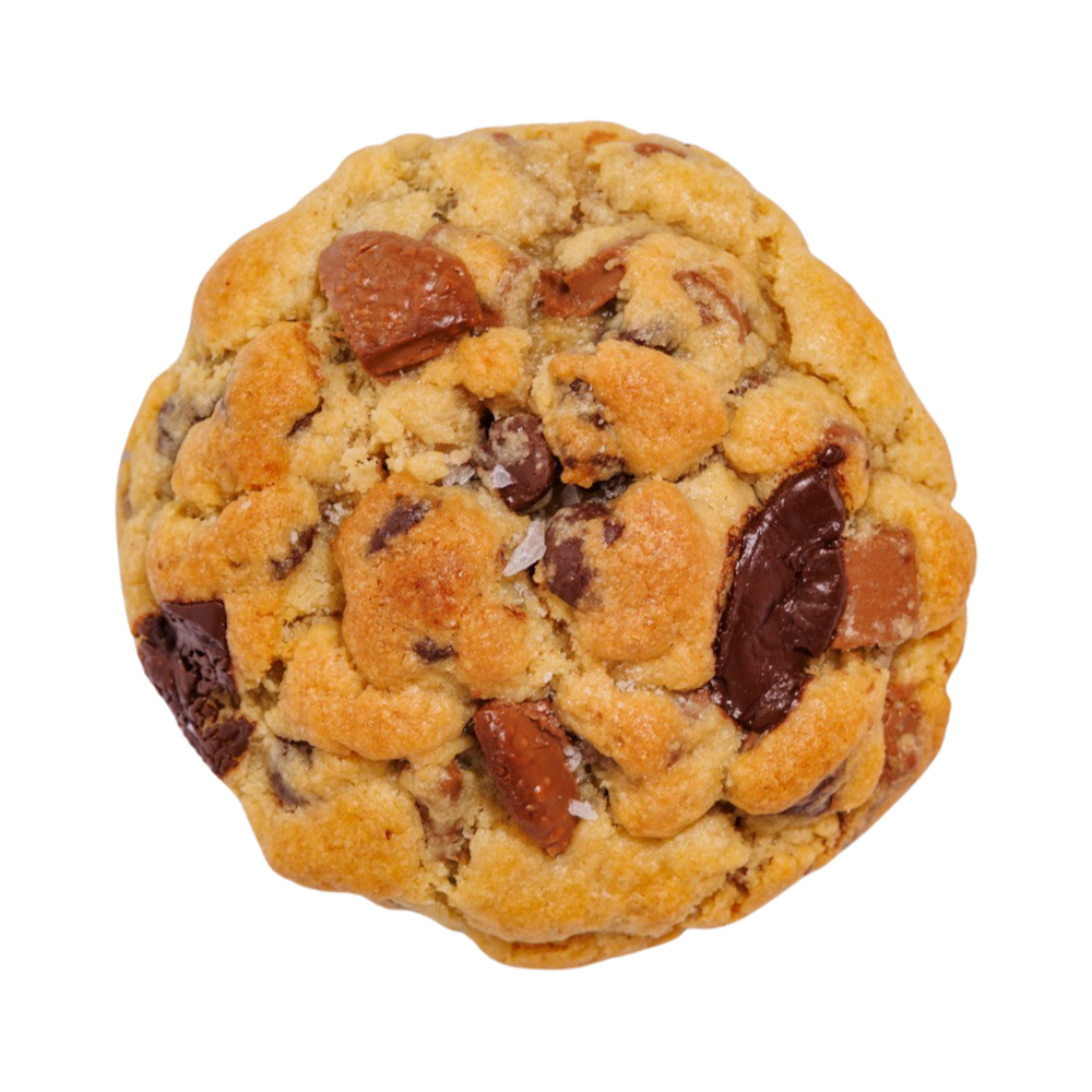 Chocolate Chip